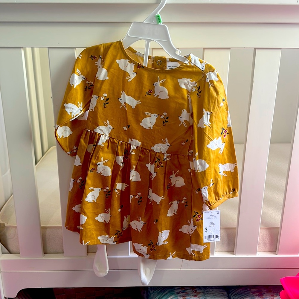 Bunny Dress from Carters with tights
